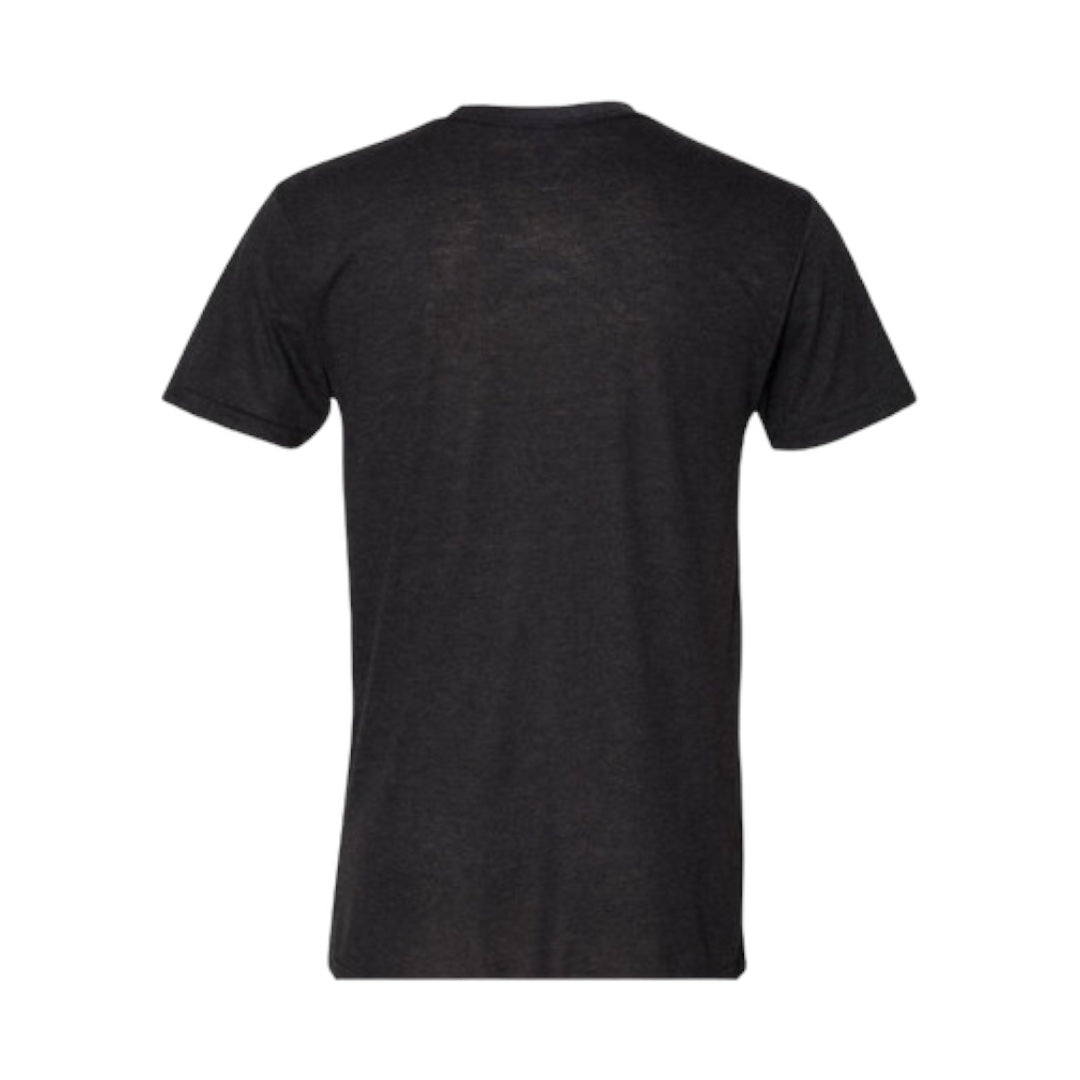 Colonized, American Apparel Men's TriBlend Track T-shirt